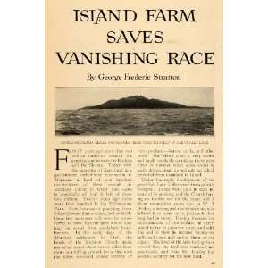 1915 Article Antelope Island State Park Buffalo Utah   Original Print 