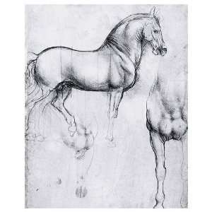  Study of Horses by Leonardo Da Vinci 38.00X47.50. Art 