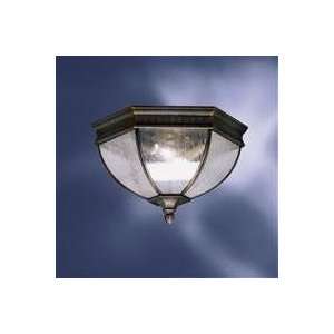  9881CMB 2 Light Warrington Flush Outdoor Ceiling