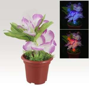   Light 2 Modes Plastic Pot Fiber Optic Flower