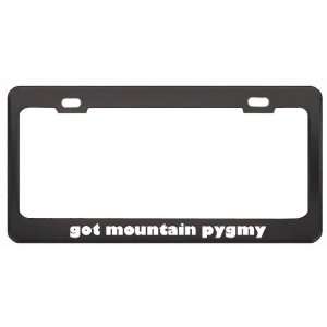 Got Mountain Pygmy Possum? Animals Pets Black Metal License Plate 