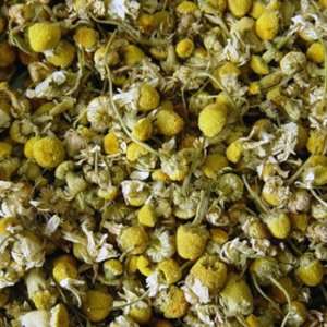 German Chamomile   4 ounce Matricaria chamomilla