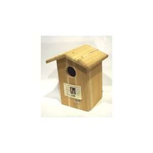   Songbird Essentials SESC1035C Screech Owl Bird House