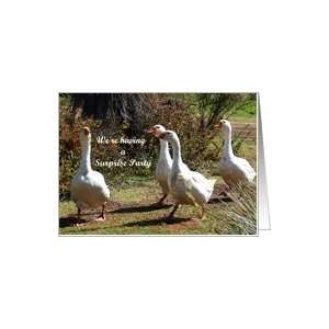 Surprise Party Invitation   Geese Card