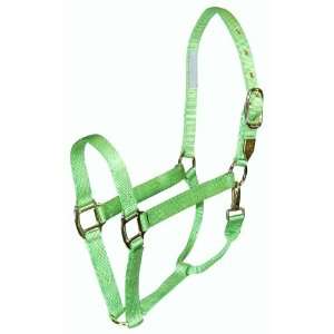  Hamilton Deluxe 1 Inch Nylon Horse Halter with Snap, Lime 