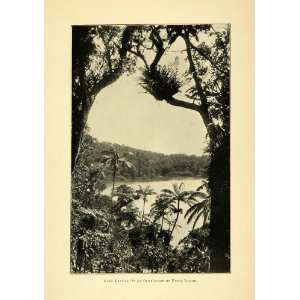  1904 Print Crater Lake Lanuta Upolu Island Samoa Palm 