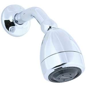   Multi Function Shower Head and Arm in Polished Chro