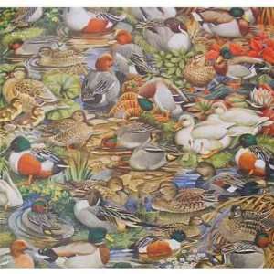  Ducks in a Pond Gift Wrap 