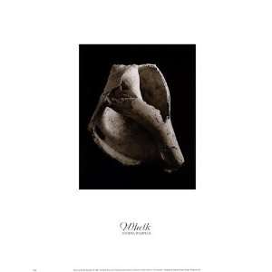  Whelk Poster Print