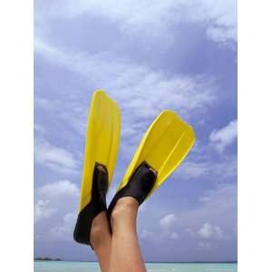  Flippers, North Male Atoll, Maldives, Indian Ocean Premium 