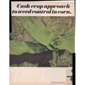  Greigy Atrazine Weed Control In Corn 2 page 1968 Original 