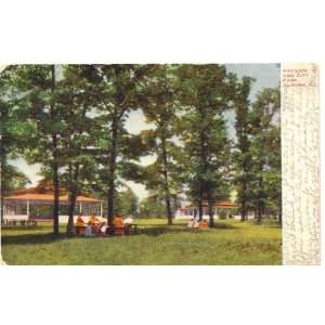   Postcard Pavilion and City Park Aurora Illinois 