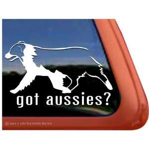  Got Aussies? ~ Australian Shepherd Vinyl Window Auto Decal 