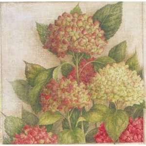  Hortensia I by Vincent Jeannerot. Size 13 inches width by 