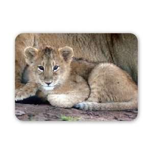  New arrival at Twycross zoo   Lion cub   Mouse Mat 