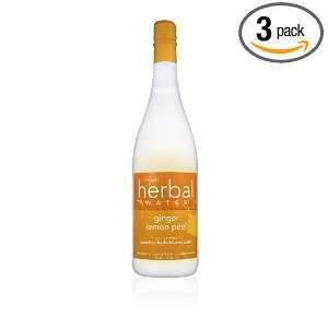 Ayalas Herbal Water, Ginger Lemon Peel, 25.36 Ounce Glass Bottles 