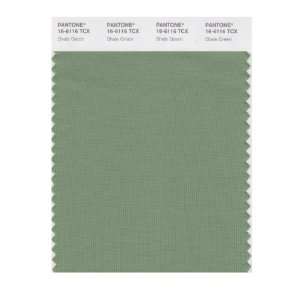  SMART 16 6116X Color Swatch Card, Shale Green