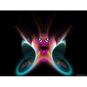 Poster Print Trsor Cath   32x40 inches   Butterfly of Night  
