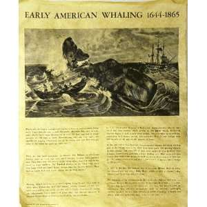  Early American Whaling 1664 1865 