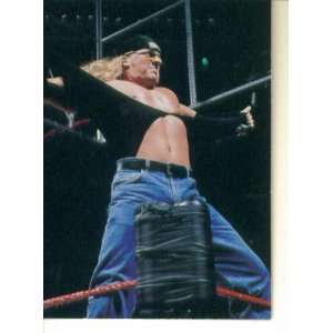   WWF Attitude Superstarz Trading Card #16  Triple H