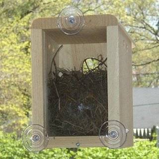 Coveside Window Nest Box