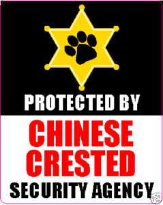 PROTECTED BY CHINESE CRESTED SECURITY AGENCY STICKER  