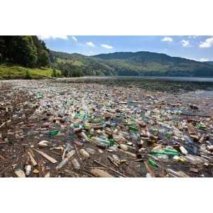  Very Important Plastic and Trash Pollution on Beautiful Lake 