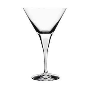  Intermezzo Satin Martini Glass