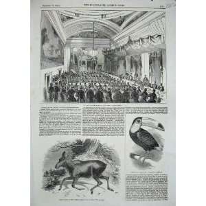    1844 Banquet Pottinger Manchester Toucan Moose Deer