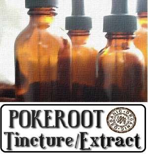 POKE ROOT Tincture Extract ~ Multiple Size Bottles  