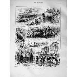  1873 Bipeds Quadrupeds Barnet Fair Horses Cattle Dogs 