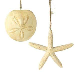  Sand Dollar and Starfish Ornaments Set of 2