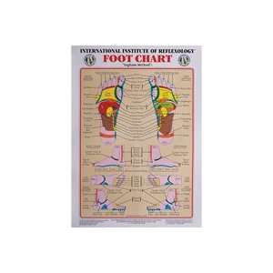  Foot Reflexology Chart 