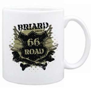  New  Briard Pirate Of 66 Road  Mug Dog
