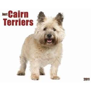  Just Cairn Terriers 2011 Wall Calendar
