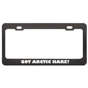 Got Arctic Hare? Animals Pets Black Metal License Plate Frame Holder 