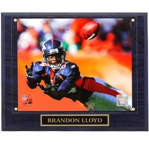  NFL Denver Broncos #84 Brandon Lloyd 13 x 10.5 Player 