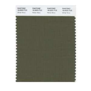  Pantone 18 0523 TCX Smart Color Swatch Card, Winter Moss 