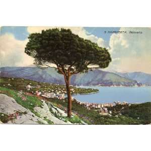 1914 Vintage Postcard Panoramic View of Santa Margherita Ligure Italy