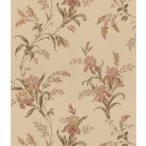 Brewster Wallcovering Floral Wheat Sidewall Wallpaper MA5104