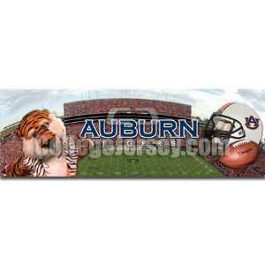  Auburn Tigers Tailgate Party Rug Memorabilia. Sports 