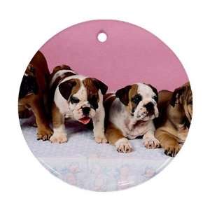 Cute English bulldog puppies Ornament round porcelain Christmas Great 
