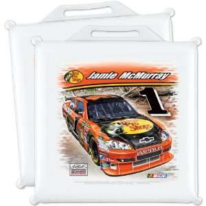  Wincraft Jamie Mcmurray Seat Cushions   Set Of 2 Set Of 2 