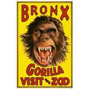  Bronx Visit the Zoo, Gorilla Poster
