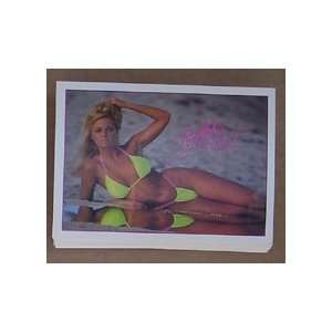 Swimsuit Model Collector`s Card Set Of (50) From 1992 From Portfolio