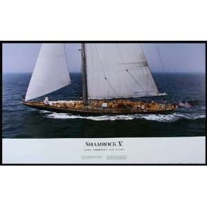    Shamrock V   Americas Cup Yacht Panoramic Photo Toys & Games