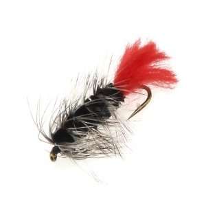  Academy Sports Superfly Wooly Worm 3/4 Nymph Sports 