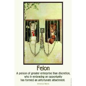  Felon 20x30 poster