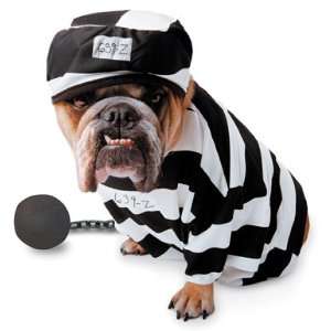  Deluxe Prisoner Dog Costume Size Large 
