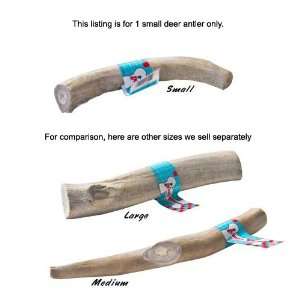  Newts Natural Antler Chews Small (4.5 7 inches, 3   4 oz 